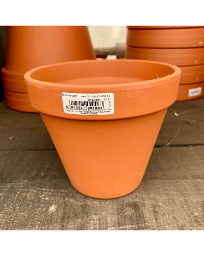 Pot en Terre-Cuite Terracotta D13x12H